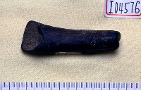 藏品(鹿角)的圖片